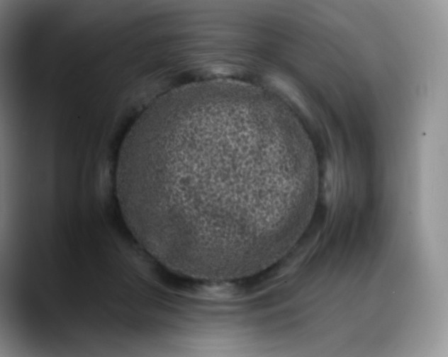 X0000088700410200706141434