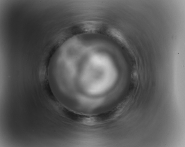 X0000088700411200706141434