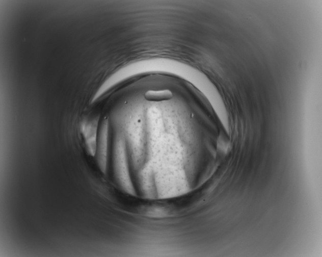 X0000088700412200706141434