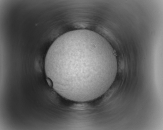 X0000088700414200706141434