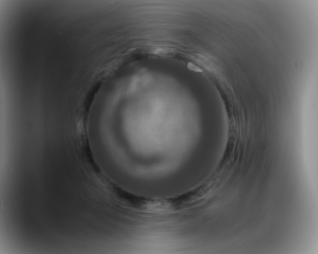 X0000088700415200706141434