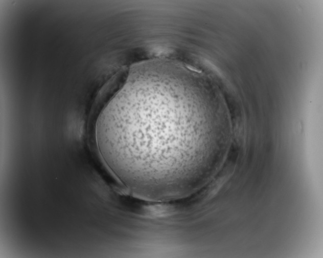 X0000088700417200706141434
