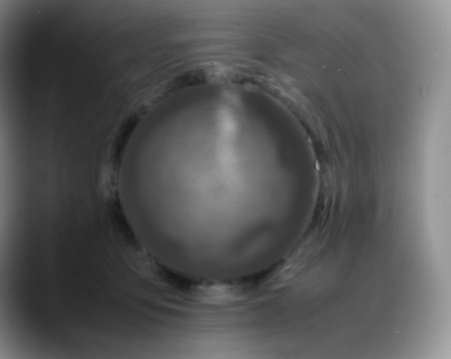 X0000088700419200706141433