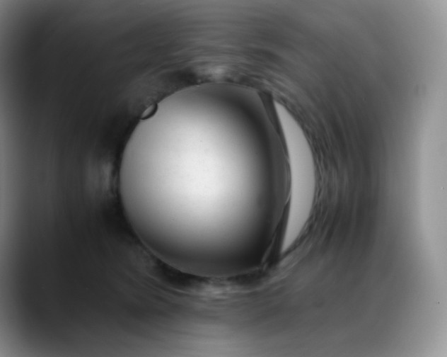 X0000088700420200706141433