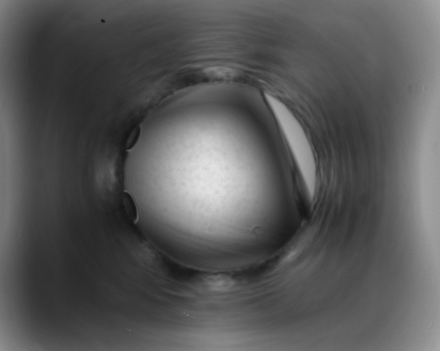 X0000088700424200706141433