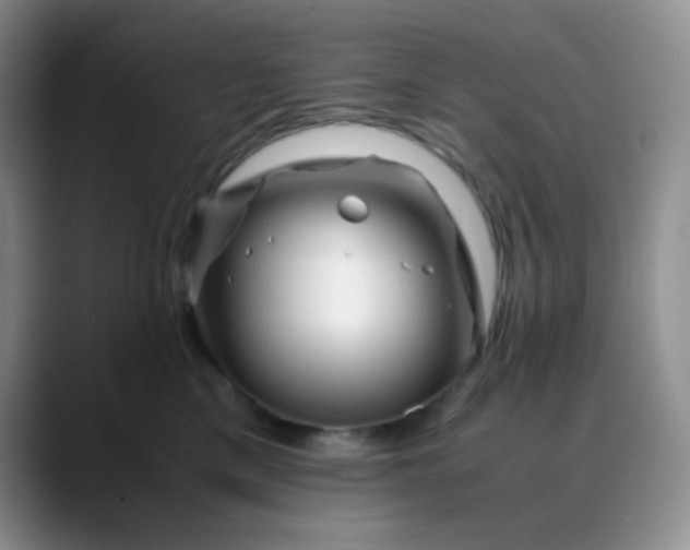 X0000088700425200706141433