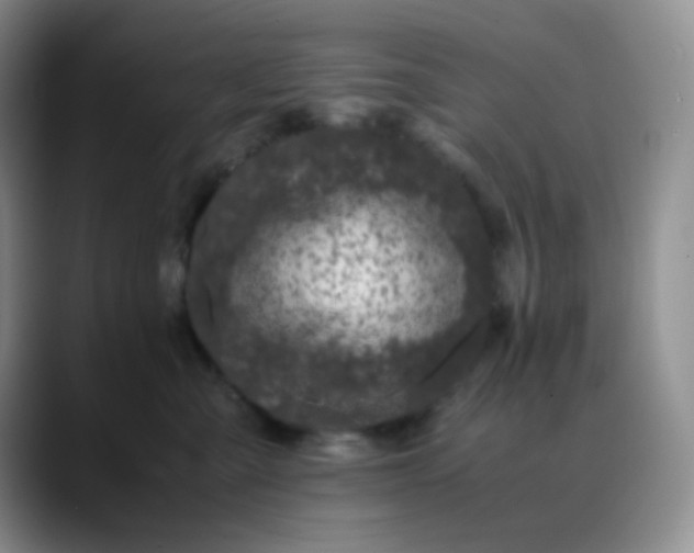 X0000088700427200706141433