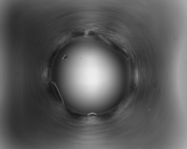 X0000088700428200706141433