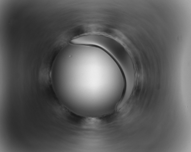 X0000088700429200706141433