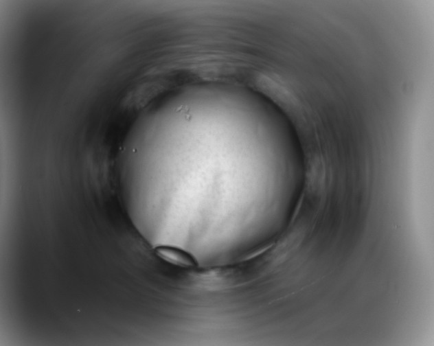 X0000088700430200706141433
