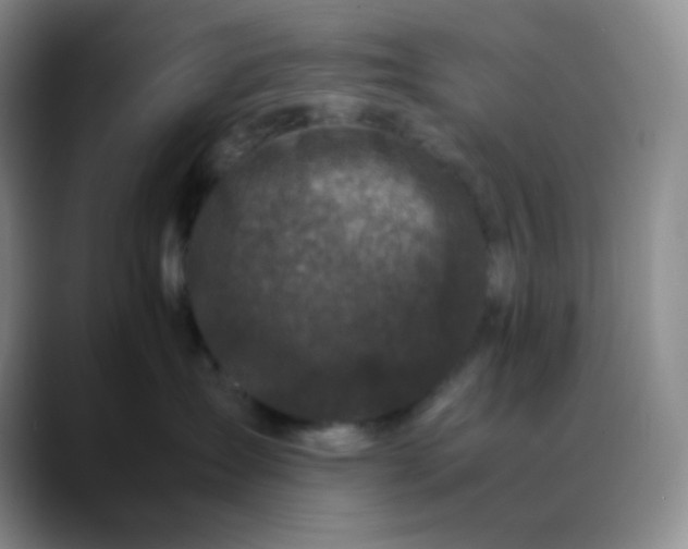 X0000088700431200706141433