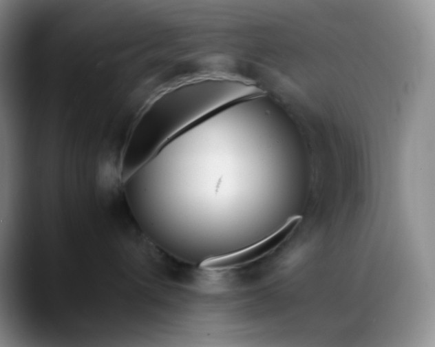 X0000088700432200706141433