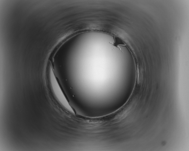 X0000088700435200706141433