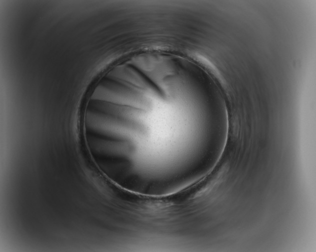 X0000088700439200706141433