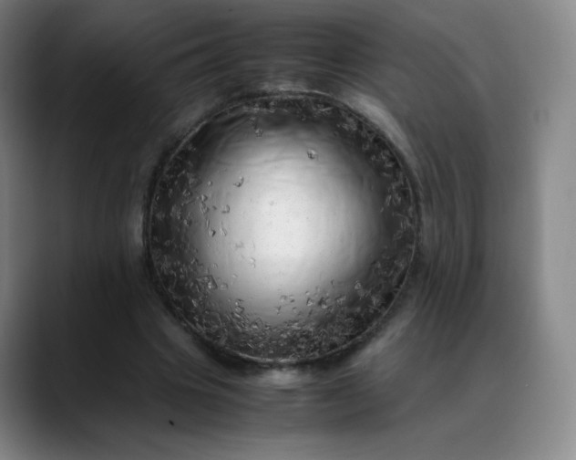 X0000088700441200706141433