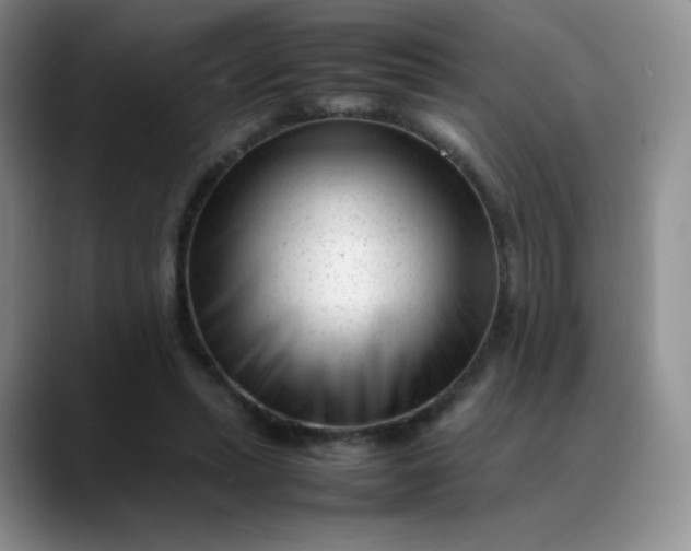 X0000088700447200706141433