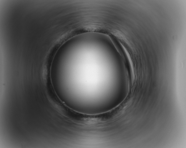 X0000088700448200706141433