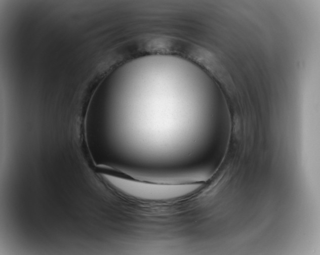 X0000088700449200706141433