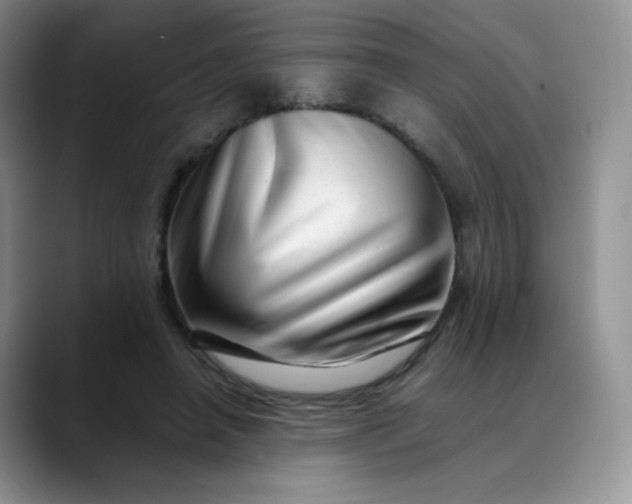 X0000088700450200706141433