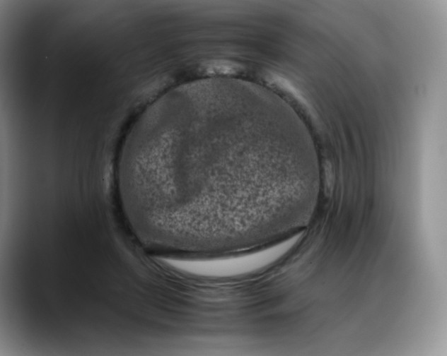 X0000088700451200706141433