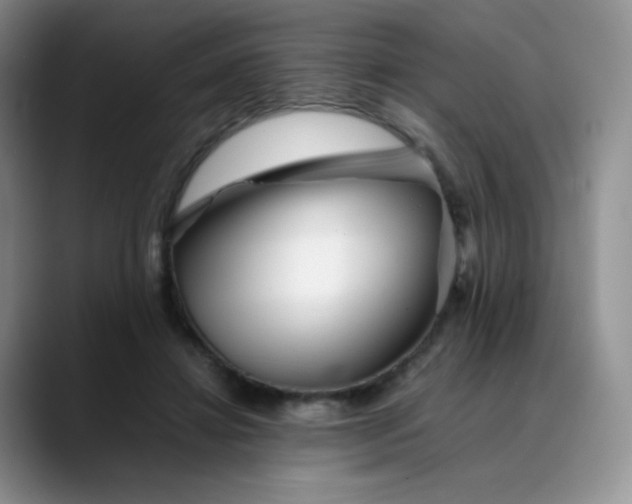 X0000088700452200706141433