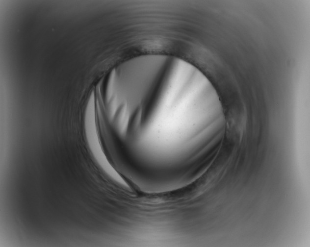 X0000088700454200706141433