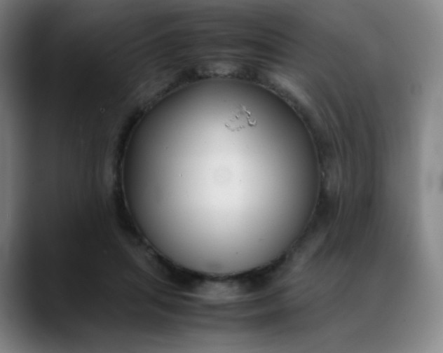 X0000088700455200706141433
