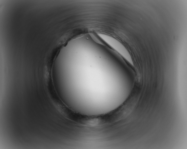 X0000088700456200706141433