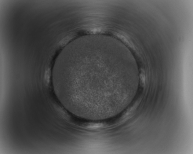 X0000088700458200706141433