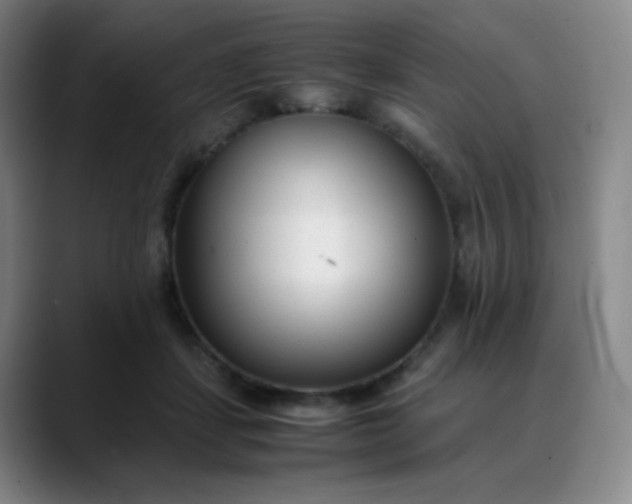 X0000088700459200706141433