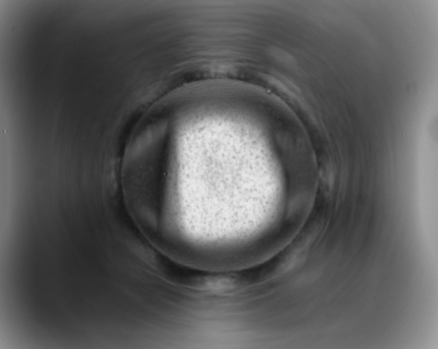 X0000088700462200706141433
