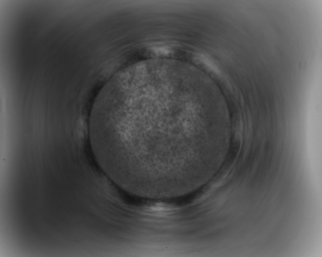 X0000088700467200706141433