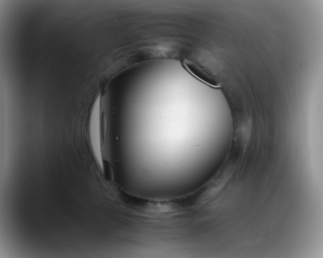 X0000088700469200706141433