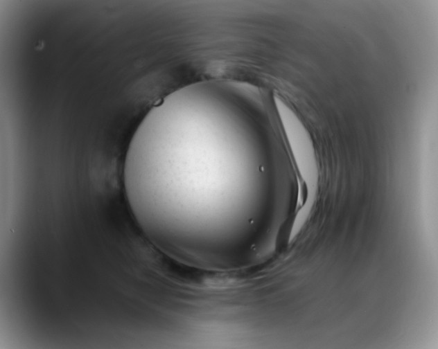 X0000088700470200706141433