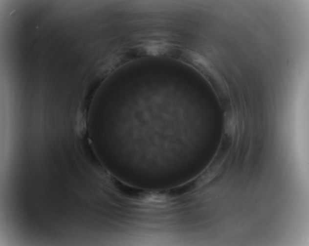 X0000088700471200706141433