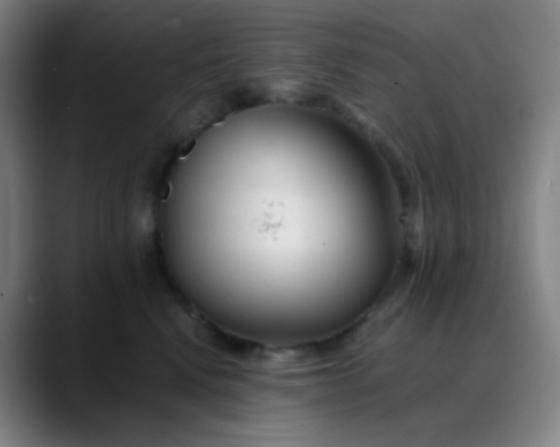 X0000088700472200706141433
