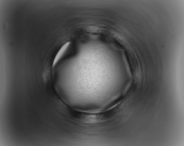 X0000088700473200706141433