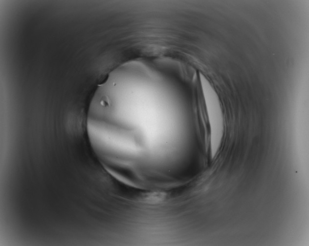 X0000088700474200706141433
