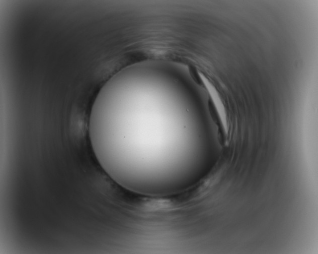 X0000088700476200706141433