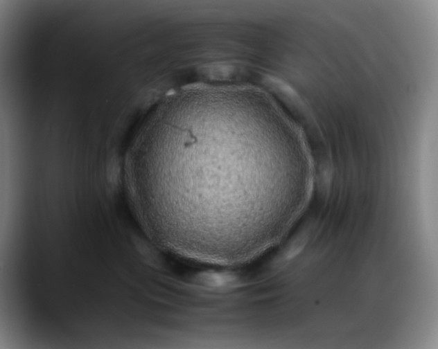 X0000088700477200706141433