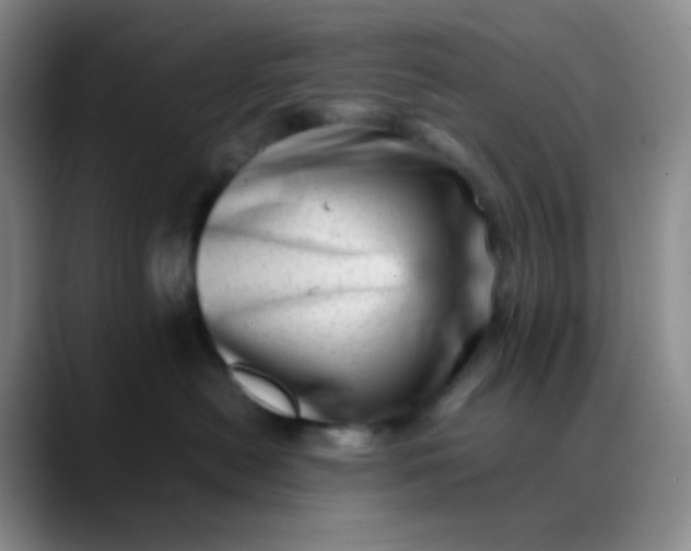 X0000088700478200706141433