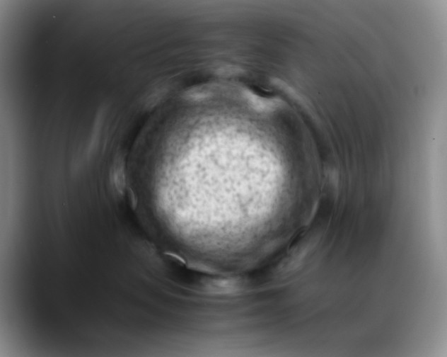 X0000088700479200706141433