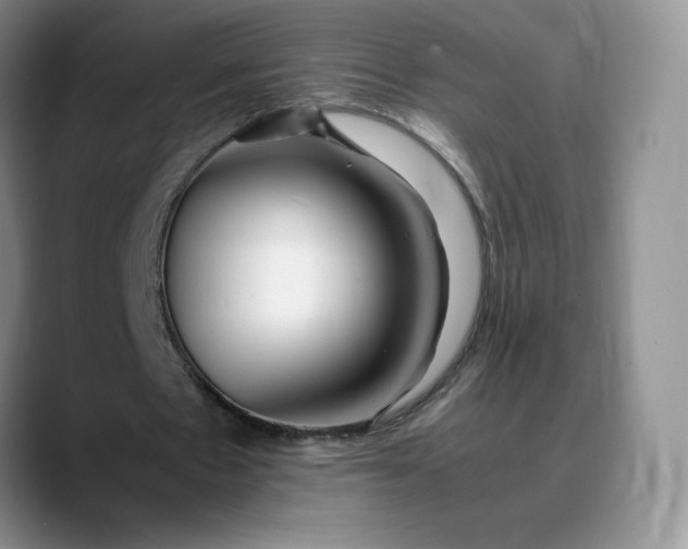 X0000088700481200706141433