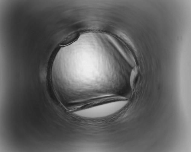 X0000088700483200706141433
