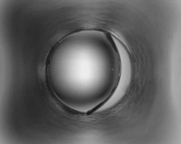 X0000088700485200706141433
