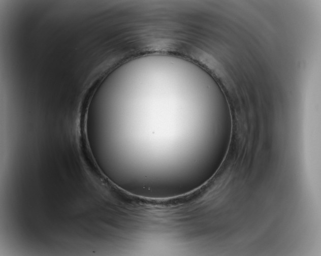 X0000088700486200706141433