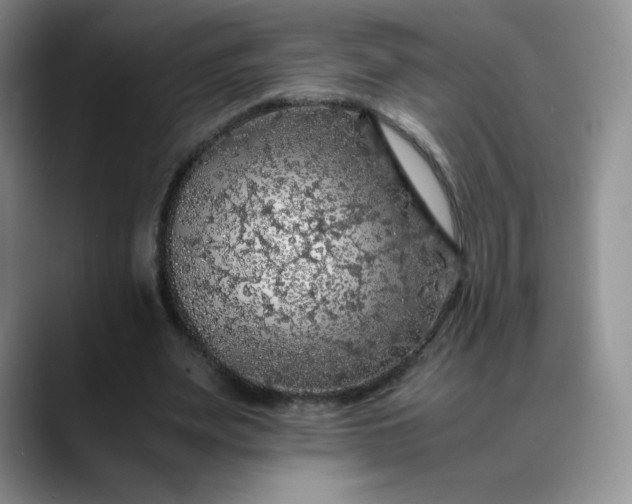 X0000088700487200706141433