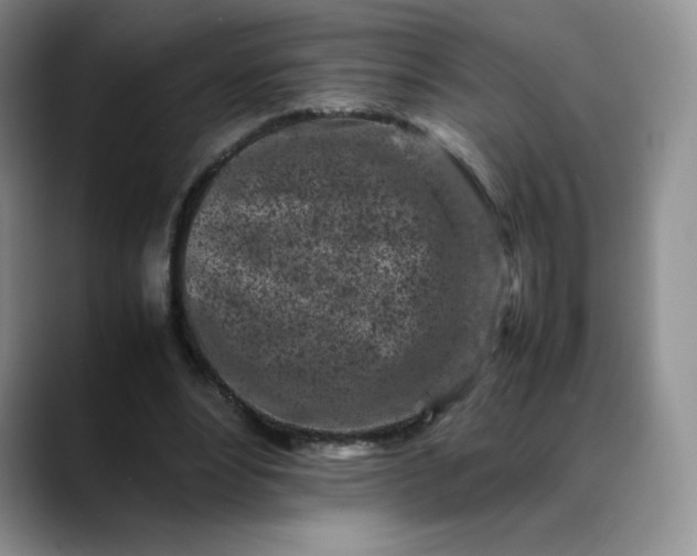 X0000088700488200706141433