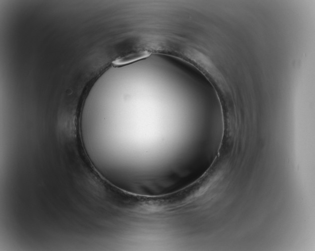 X0000088700489200706141433
