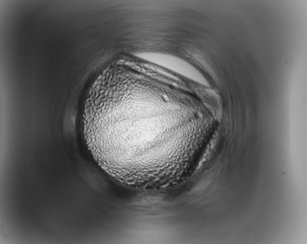 X0000088700491200706141433
